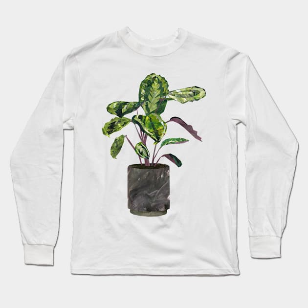 Calathea (prayer plant) Long Sleeve T-Shirt by Babban Gaelg